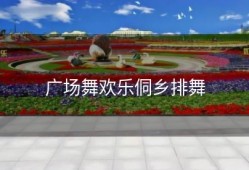 广场舞欢乐侗乡排舞