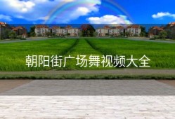 朝阳街广场舞视频大全