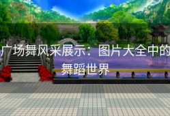 广场舞风采展示：图片大全中的舞蹈世界
