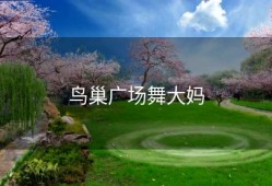 鸟巢广场舞大妈