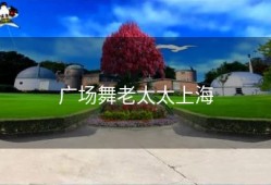 广场舞老太太上海