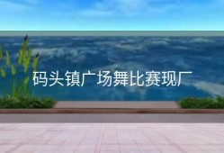 码头镇广场舞比赛现厂