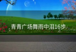 青青广场舞雨中泪16步