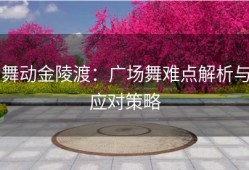舞动金陵渡：广场舞难点解析与应对策略