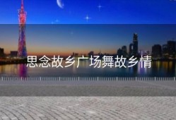 思念故乡广场舞故乡情