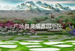 广场舞黄埔鑫园小区