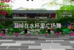 泪掉在水杯里广场舞