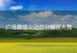 广场舞情火动作分解双人舞