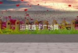 运城鑫宇广场舞