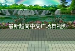 最新越南中文广场舞视频