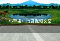 小苹果广场舞视频文案