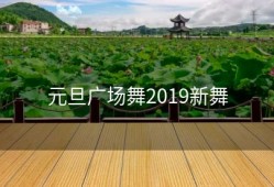 元旦广场舞2019新舞
