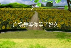 广场舞等你等了好久