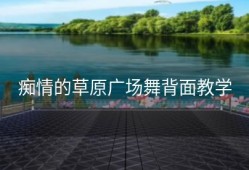 痴情的草原广场舞背面教学