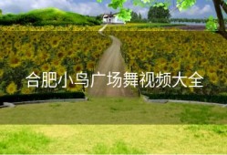 合肥小鸟广场舞视频大全