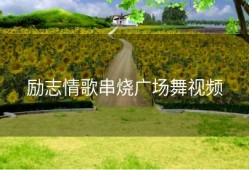 励志情歌串烧广场舞视频