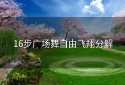 16步广场舞自由飞翔分解