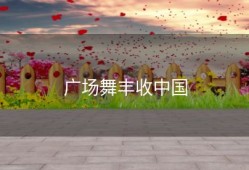 广场舞丰收中国