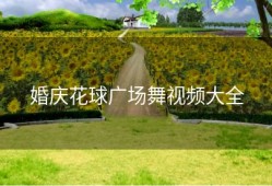 婚庆花球广场舞视频大全