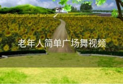 老年人简单广场舞视频