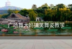 广场舞大妈搞笑舞姿教学