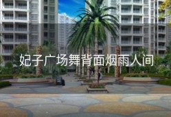 妃子广场舞背面烟雨人间