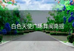 白色天使广场舞闽南摇