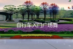 自行车入门广场舞