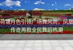 荷塘月色引领广场舞风尚，凤凰传奇再掀全民舞蹈热潮