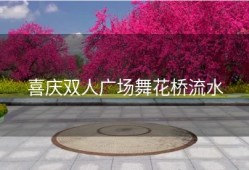 喜庆双人广场舞花桥流水