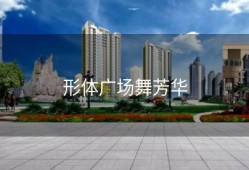 形体广场舞芳华