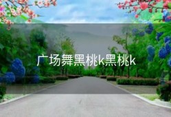 广场舞黑桃k黑桃k