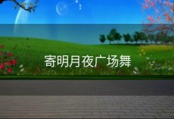 寄明月夜广场舞