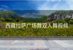 西藏拉萨广场舞双人舞视频