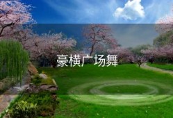 豪横广场舞