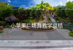 小苹果广场舞教学总结