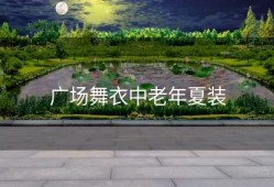 广场舞衣中老年夏装