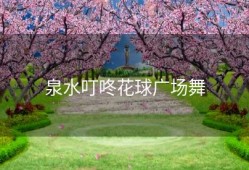 泉水叮咚花球广场舞