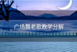广场舞老歌教学分解