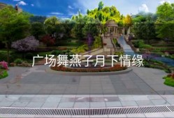 广场舞燕子月下情缘