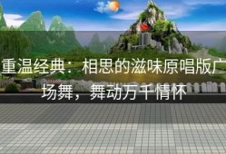 重温经典：相思的滋味原唱版广场舞，舞动万千情怀