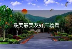 最美最美友好广场舞