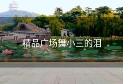 精品广场舞小三的泪