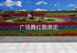 广场舞红歌南泥