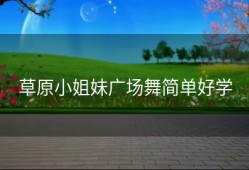 草原小姐妹广场舞简单好学