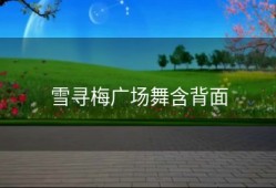 雪寻梅广场舞含背面