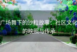 广场舞下的沙粒故事：社区文化的映照与传承