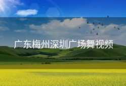 广东梅州深圳广场舞视频