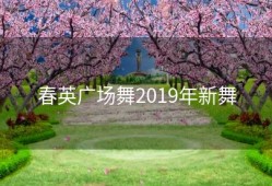 春英广场舞2019年新舞