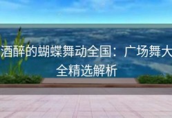酒醉的蝴蝶舞动全国：广场舞大全精选解析